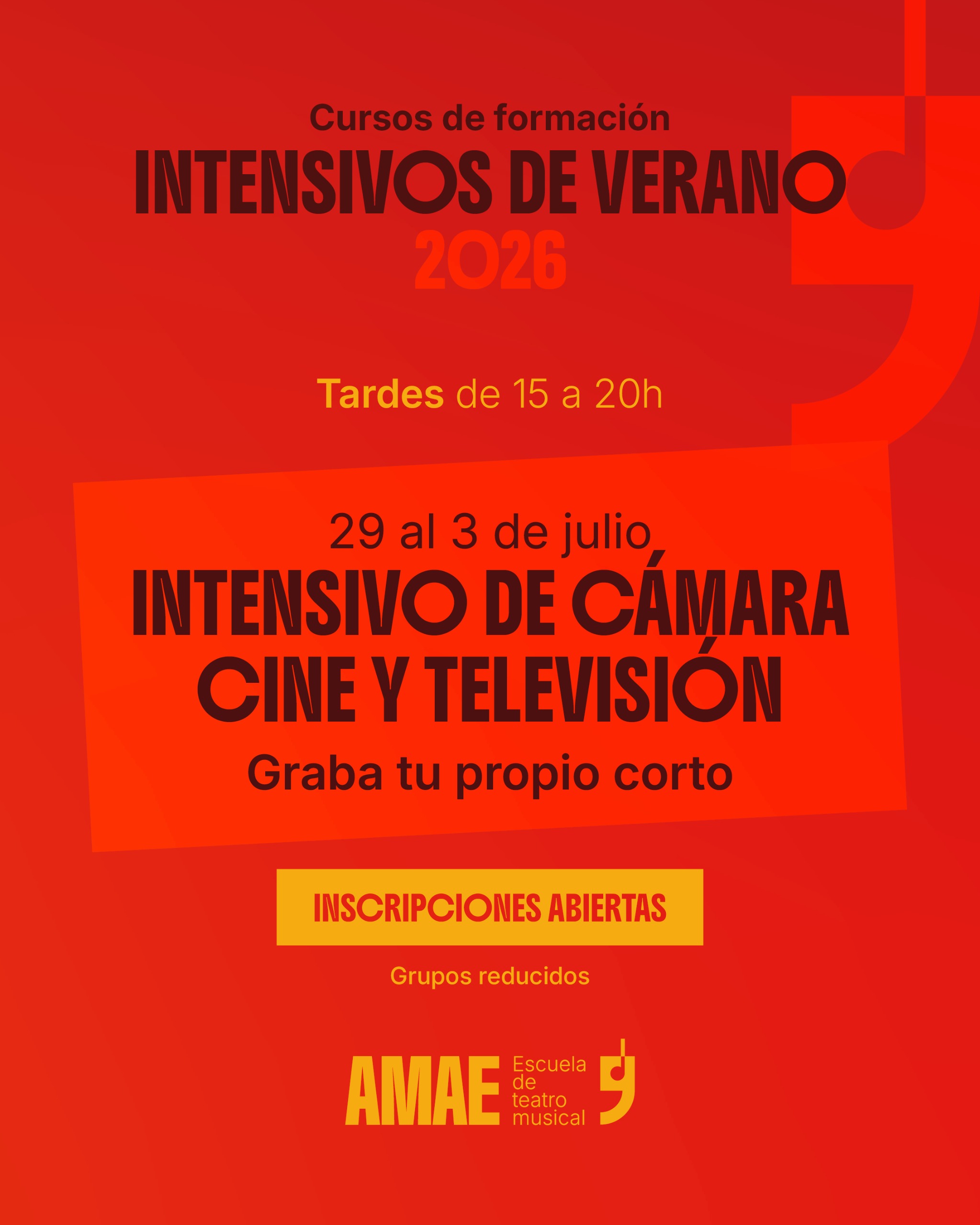 Cartel 12 · Intensivo Cámara Cine